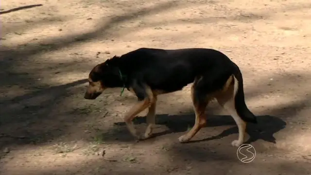 Foto: Reprodução / TV Rio Sul 