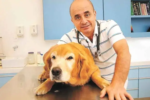 Veterinário José Geraldo Lasmar diz que o animal precisa ter um lugar que identifique como seu para sentir que ali é seu refúgio. Foto: Cristina Horta/EM/D.A Press