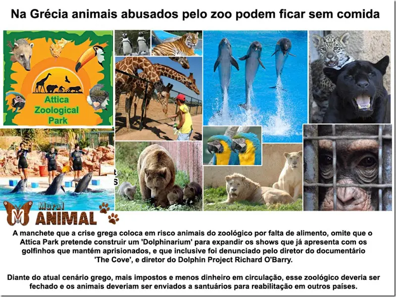 zoo
