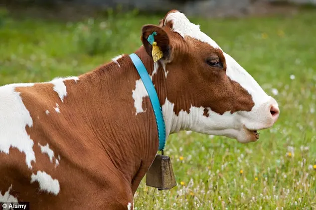 Foto: Alamy
