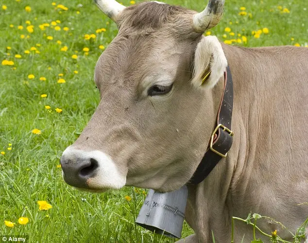 Foto: Alamy