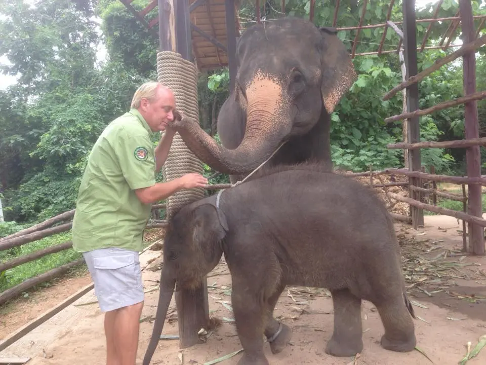 Foto: Facebook/ Wildlife Friends Foundation Thailand 