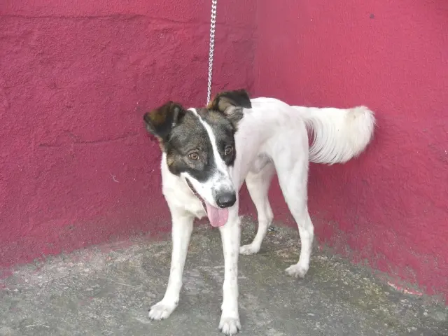Billy.6
