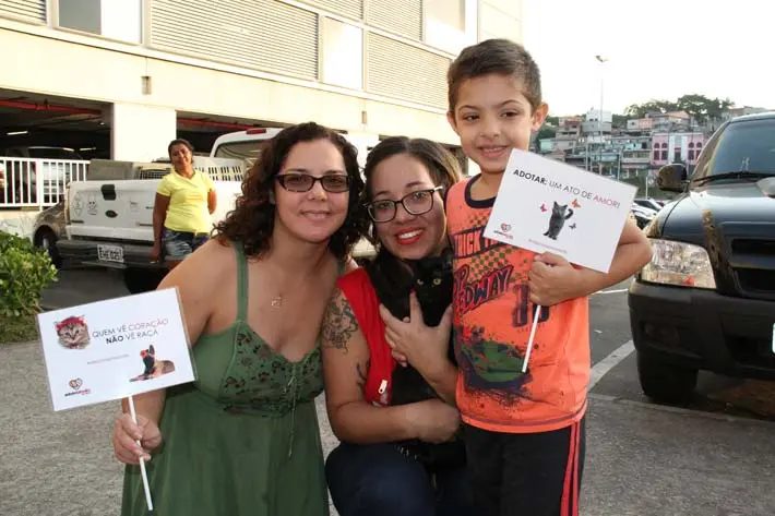 A feira realizada no Shopping Taboão resultou na doação de 31 cães e 60 gatos 