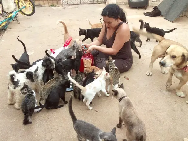 Rosani cuida de 57 gatos em casa (Foto: Rosani Guerra/Arquivo Pessoal)