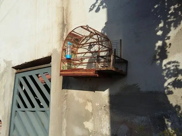 Divulgação