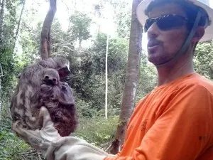 Animais são resgatados diariamente de área atingida. (Foto: Norte Energia)