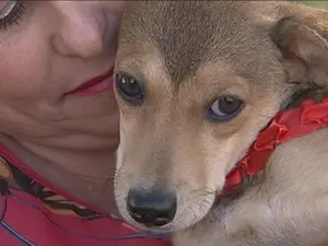 Amora foi adotada e três dias depois devolvida ao canil (Foto: Reprodução/ TV TEM)