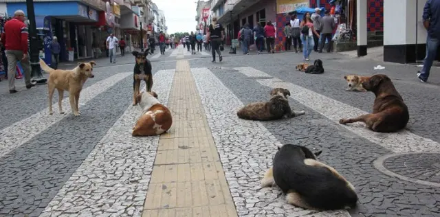 Foto: Divulgação/ANDA