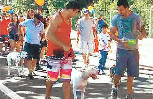 Caminhada na Lagoa do Taquaral teve série de atividades: apoio