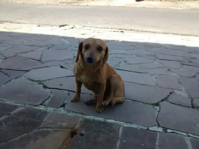 Chester