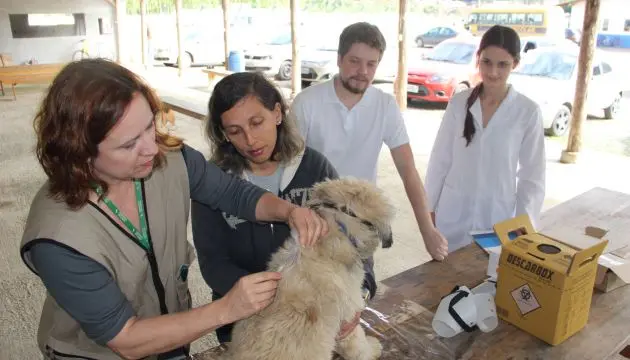 Mais de 80 cães receberam microcircuito eletrônico e a certificação do código exclusivo (Foto: FJBrugnago)