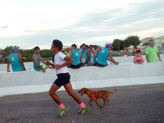 Jack acompanha a tutora por todo o percurso (Foto: Divulgação/Acapam)