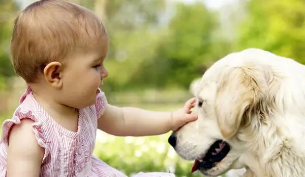 Criança brinca com cão