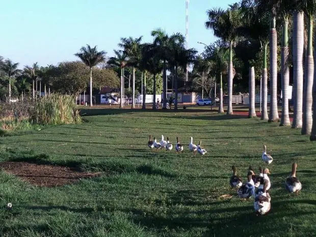 Lagoa é habitada por várias espécies de aves e mamíferos. (Foto: Ricardo Ojeda/Arquivo Pessoal)