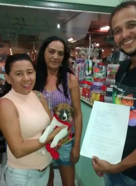 Foto: Divulgação