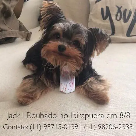jack
