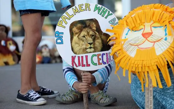 Criança protesta contra morte do leão Cecil em Minnesota, EUA, em frente à clínica do dentista Walter Palmer. / ERIC MILLER (REUTERS)