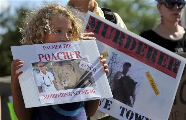Manifestação de indignação pela morte do leão Cecil