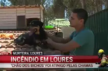 'Chão dos Bichos' atingido pelas chamas 