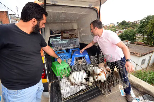 Suspeita é de que os bichos estariam sendo criados para posterior comercialização (Foto: Olavo Prazeres/10-08-15)