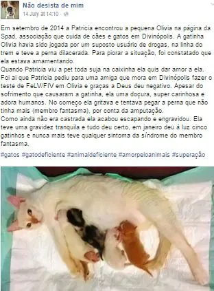 não 1