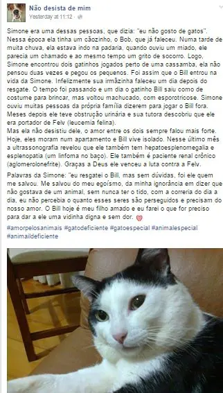 não 2