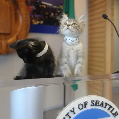 Foto: City of Seattle