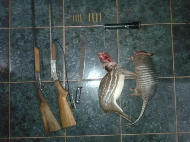 Tio e sobrinho foram flagrados com um tatu e uma paca (Foto: Polícia Militar de Vila Rica-MT)