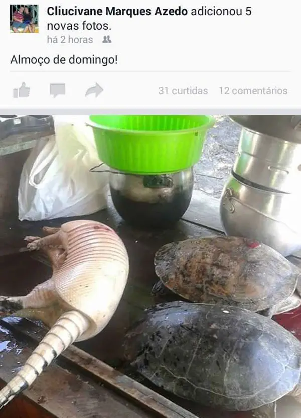 A imagem foi postada em uma rede social