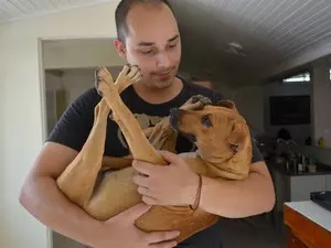 Victor Hugo Fernandes está cuidando do cão (Foto: Jéssica Alves/G1)