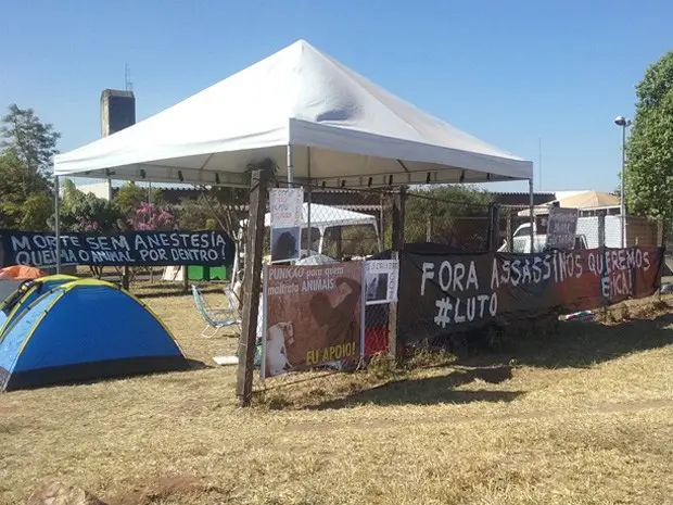 Acampamento em frente à Diretoria de Vigilância Ambiental no DF (Foto: Isabella Formiga/G1)
