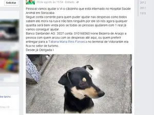 Reprodução/Facebook