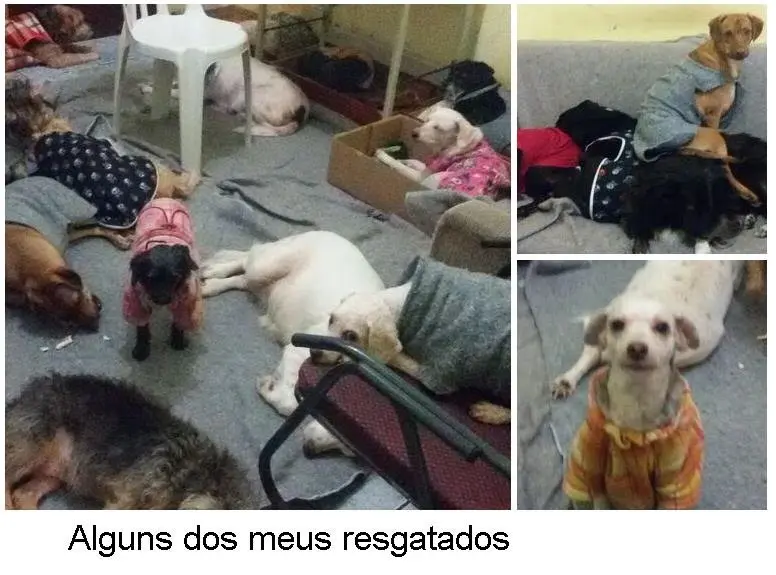 Divulgação