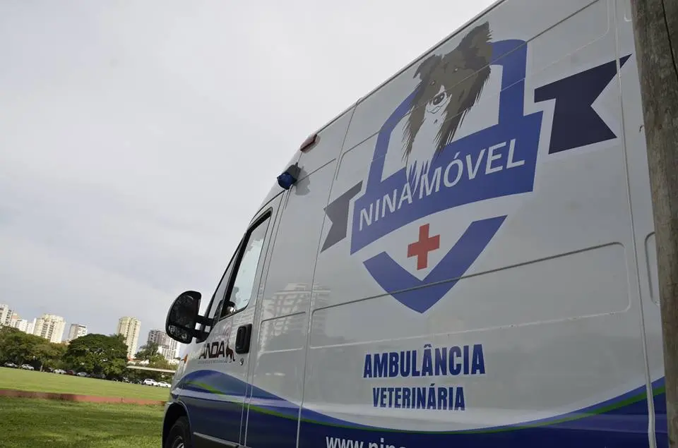 ninamovel
