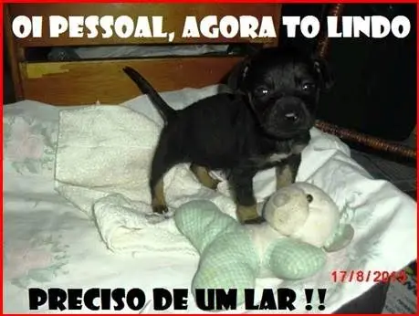 Divulgação