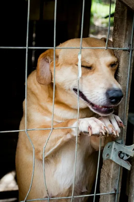 (Foto: Divulgação)