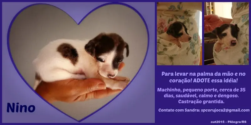 (Foto; Divulgação/ Arquivo pessoal)