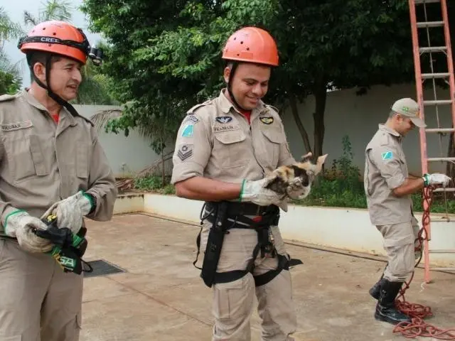 Novos amigos (Foto: Divulgação)