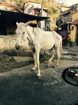 Imagem foi usada em campanha feita em rede social (Foto: Arquivo Pessoal)