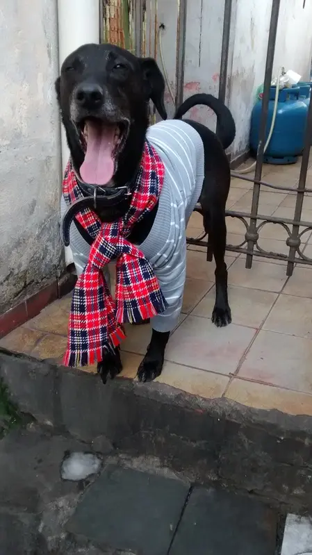 (Foto: Divulgação/ Arquivo pessoal )