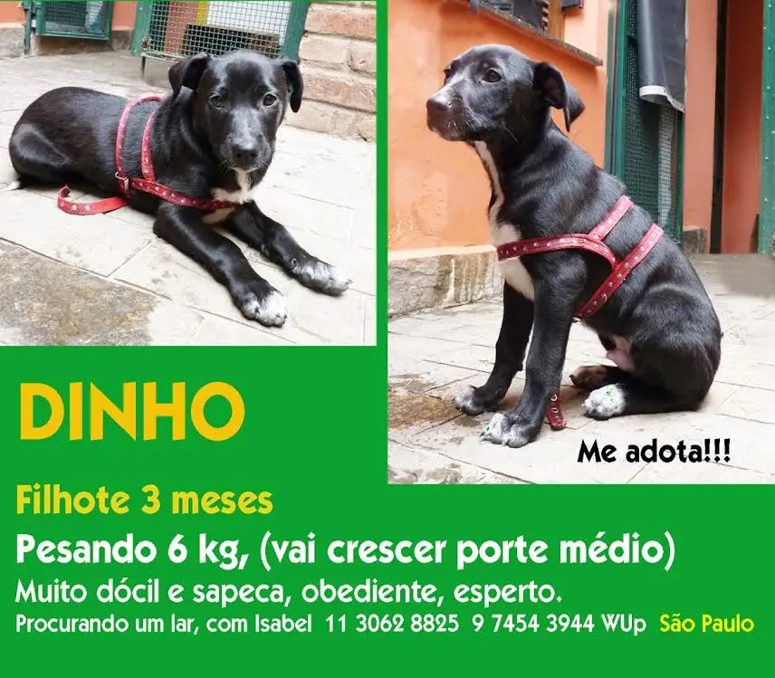 (Foto: Divulgação/ Arquivo pessoal )