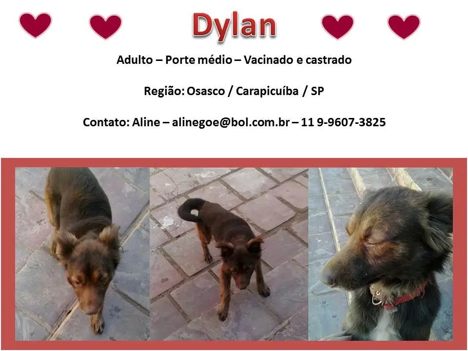 dylan