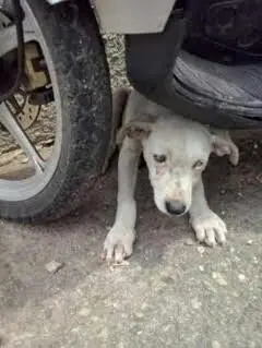  (Foto: Divulgação / Arquivo pessoal)