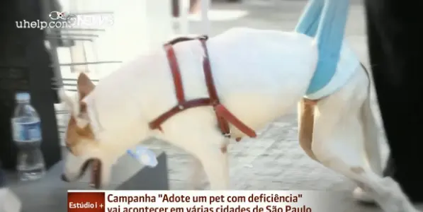 (Foto: Reprodução vídeo) 