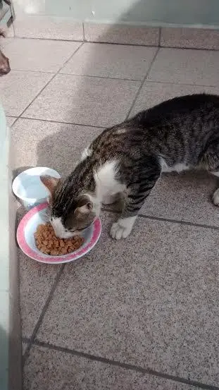  (Foto: Divulgação / Arquivo pessoal)