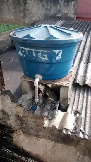  (Foto: Divulgação / Arquivo pessoal)