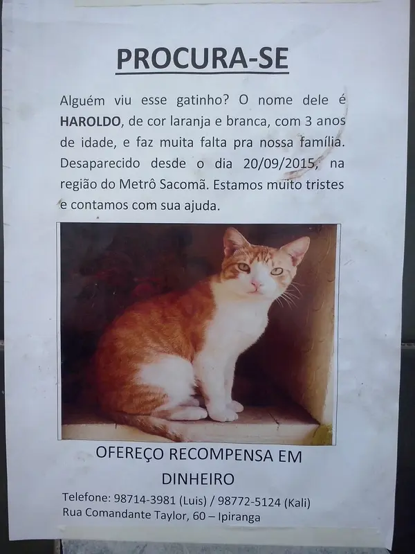 (Foto; Divulgação/ Arquivo pessoal)