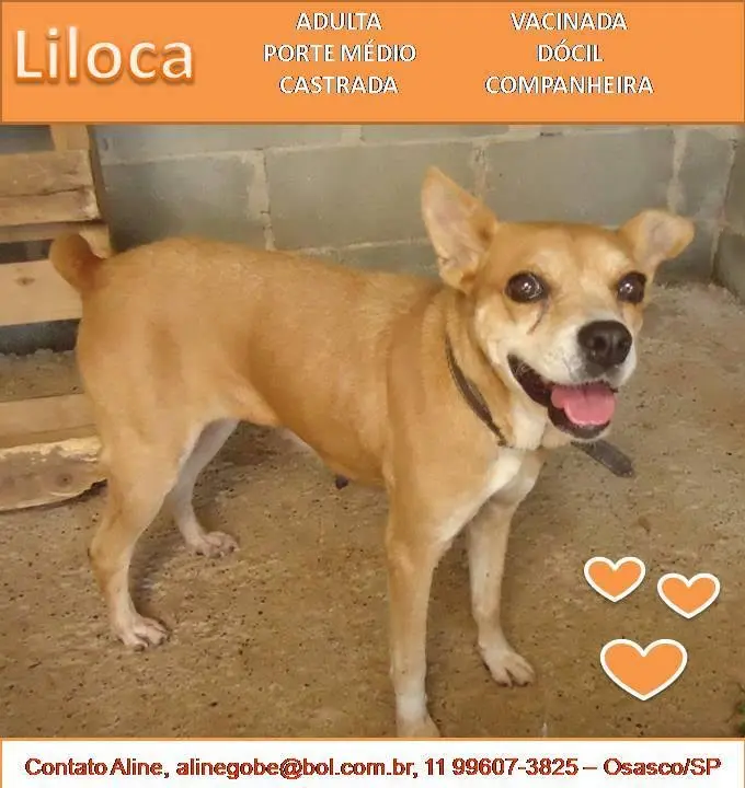 liloca