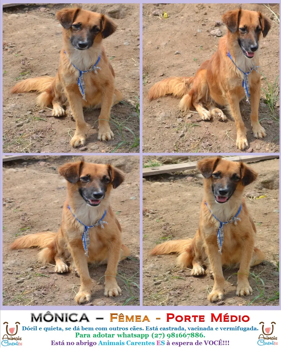mônica